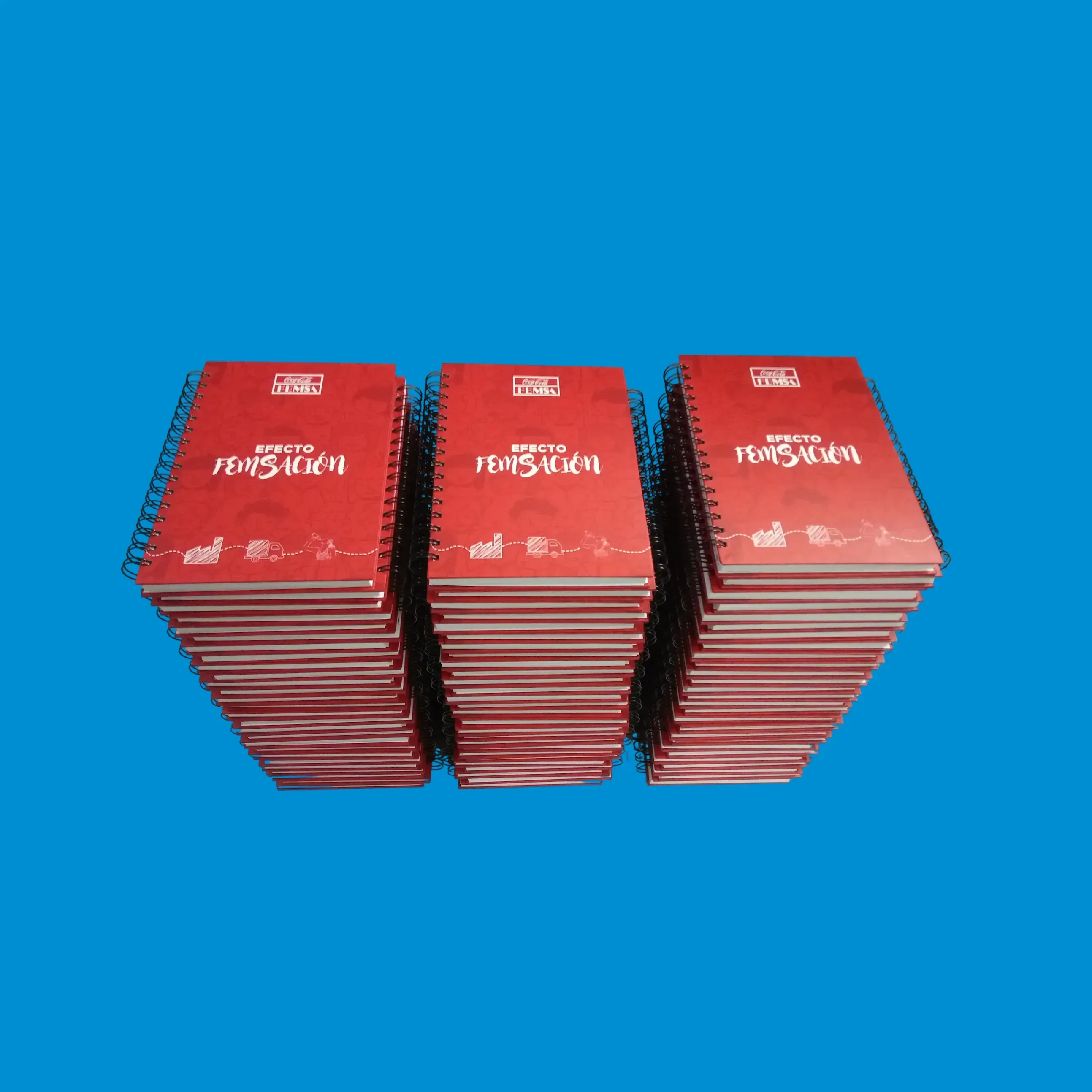 Cuadernos rojos con las palabras “Efecto Femsación” apilados en tres columnas.